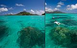 Snorkelling, Mahe' Island, Seychelles